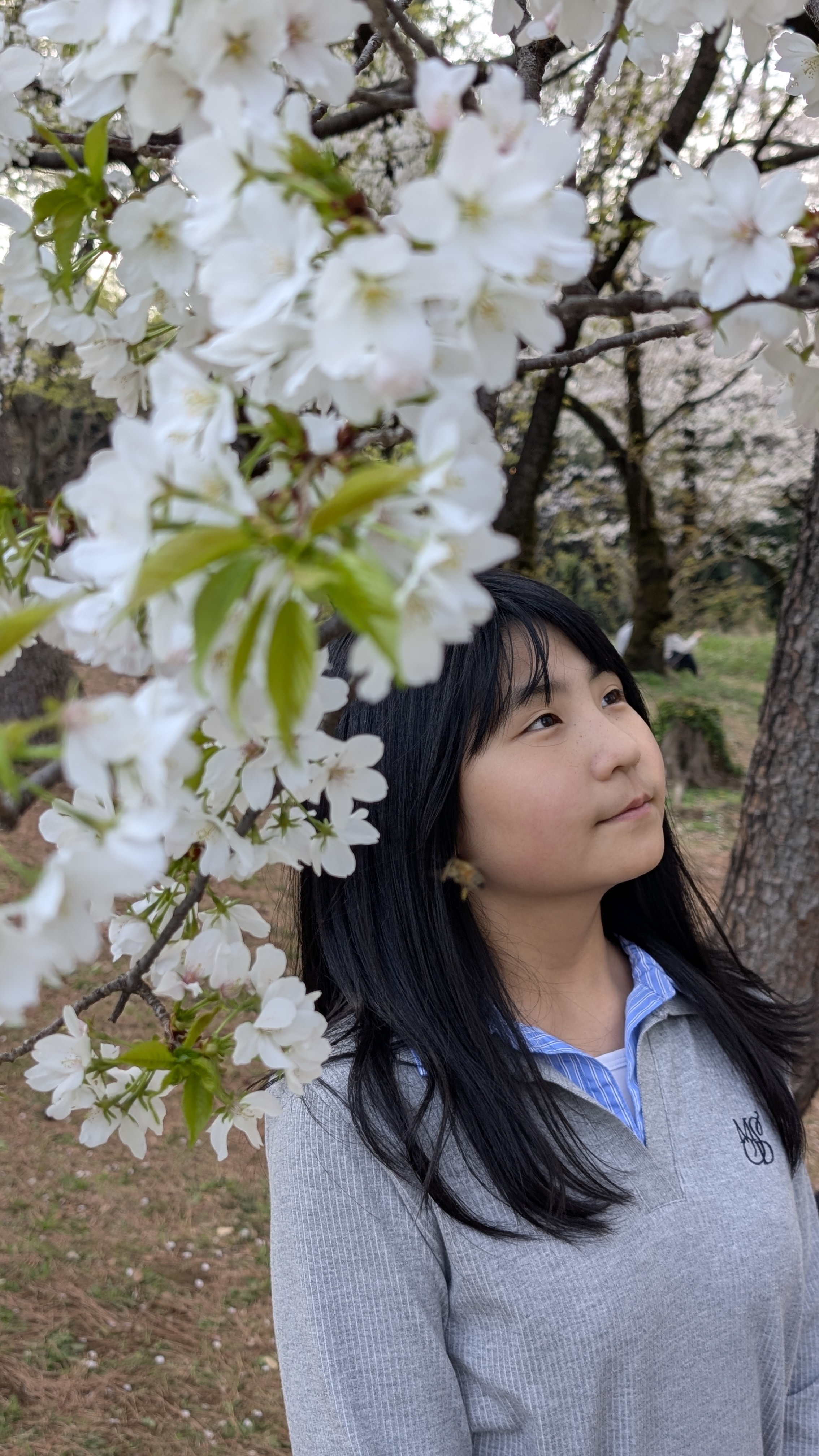 檜山怜美